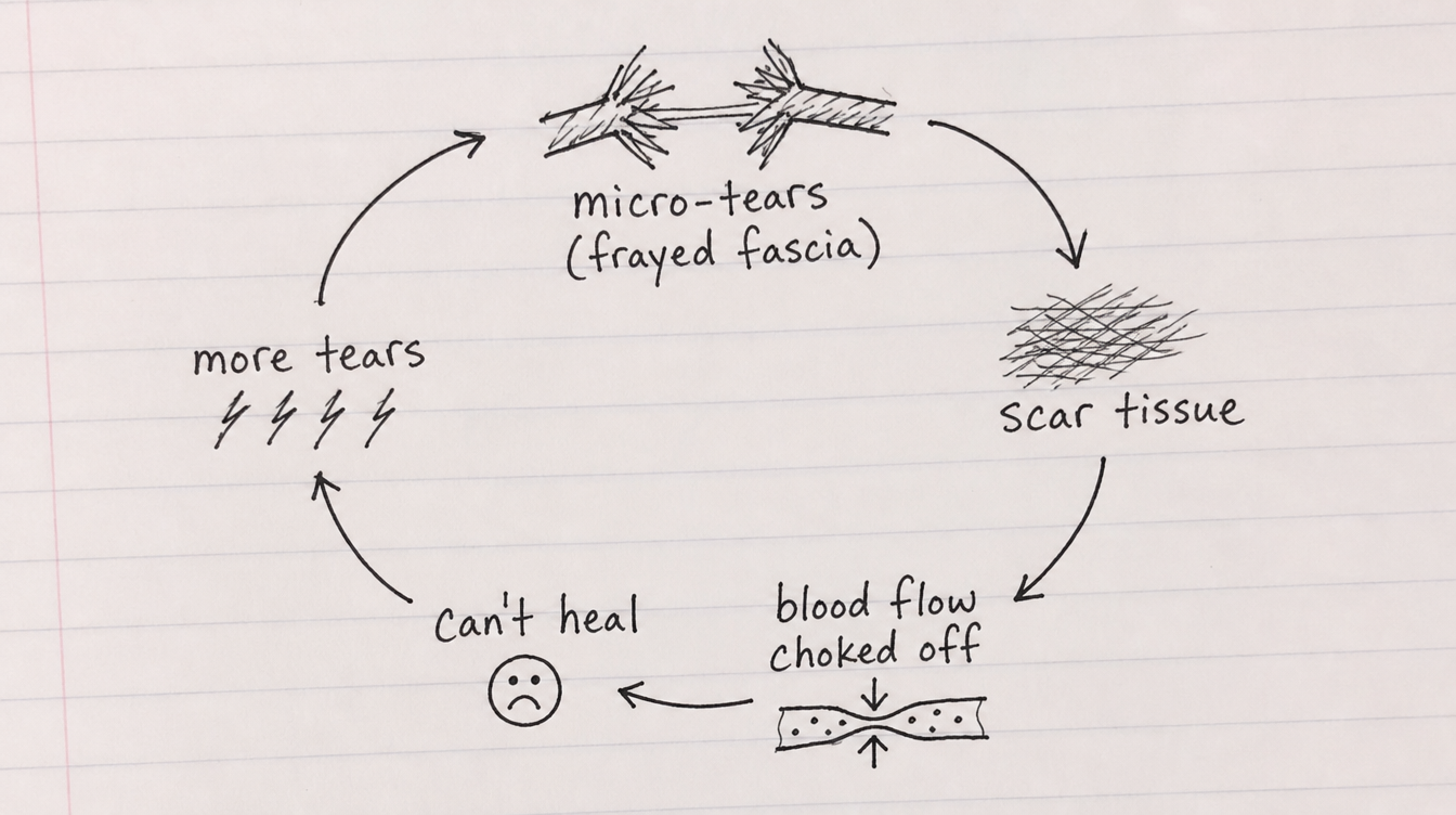 Hand-drawn loop diagram — micro-tears to scar tissue to blood flow choked off to can't heal to more tears, looping back
